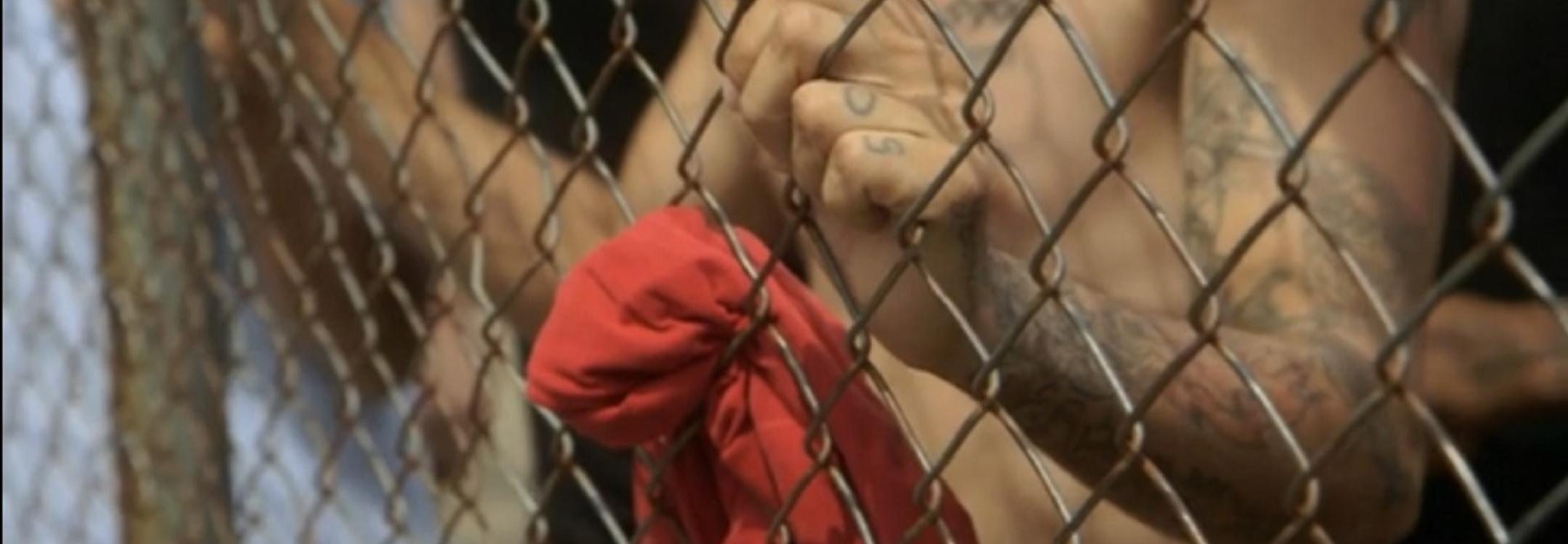 Prisoners.jpg Prisoners.jpg