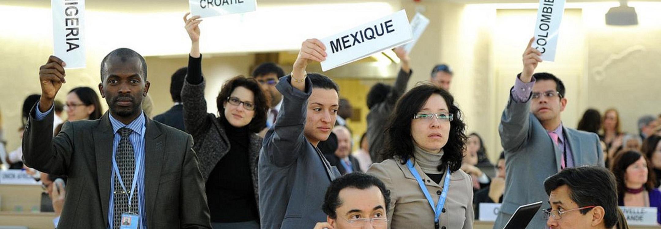 Violaine Martin, UN Geneva_HRC 2012c.jpg Violaine Martin, UN Geneva_HRC 2012c.jpg
