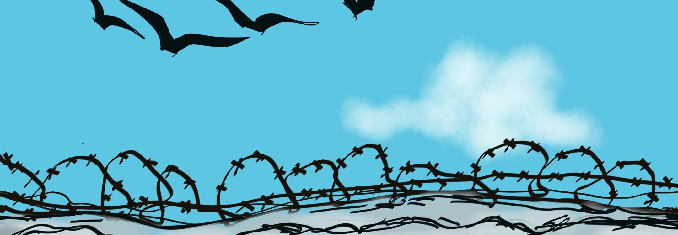 barbed wire.jpg barbed wire.jpg